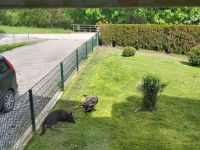 Vom Schloss osterndorf