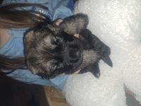 Jack und Tara sind Eltern geworden