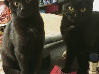 Sina und Sammy suchen ihr Glück