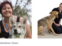 Nicht diskutieren, lösen!