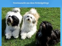 von Burg Glückstein