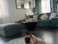 Wurf 20.03.23 ,,Frops"