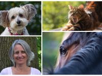 Tierkommunikation lernen - Basisworkshop