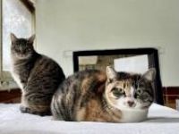 Piti und Pelusa, Mutter-Tochter-Gespann