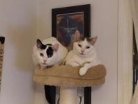 Lola und Lily, fast zahnlos