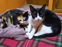 Brigitte und Kasper, Mutter und Sohn