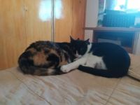 Brigitte und Kasper, Mutter und Sohn