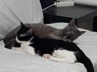 Duende und Titino, Mutter und Sohn