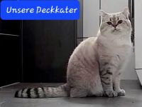 Deckkater mit Videoüberwachung