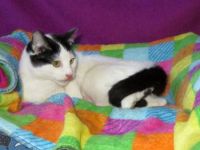 Petunia und Violeta (auf einem Auge blind)