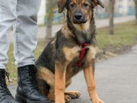 Lilith sucht liebevolle Familie