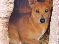 Toni, etwas schüchtern, liebevoll