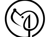 Hundeschule - das positive Training by domenico