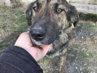 Inge, freundlich und sozial