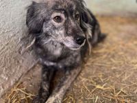 Malea, ängstlich, braucht Zeit