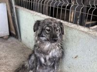 Malea, ängstlich, braucht Zeit