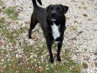 Jerry will ins neue Leben!