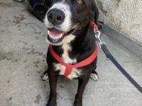 Sylvia möchte in ihr Zuhause