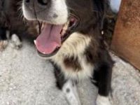 Nelli liebt kuscheln über alles