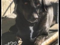 Jason - eher ängstlich