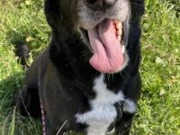 Unser freundlicher Rudi