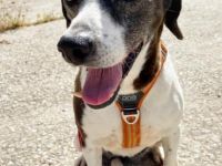 Tamara, stets fröhlich und lebensfroh