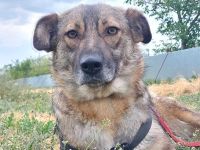 Ylenia, sehr freundlich und lieb