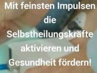 Mobile Tierheilpraxis Marion Otto