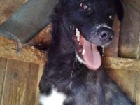 Nicky sucht erfahrene Menschen