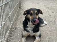 Aleksi hat seine Koffer schon gepackt