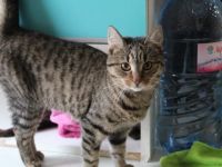 Summer möchte dein Herz erwärmen