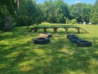 Jung- und Familienhundeausbildung startet in Hiltrup (Im Dahl)