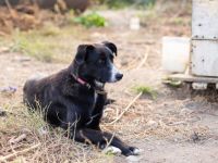 Dora sucht sehnsüchtig ihr eigenes Zuhause