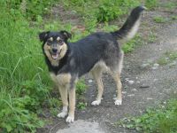 MYRA sehnt sich nach einer lieben Familie