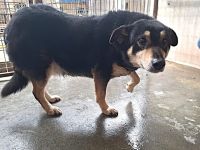 Die schüchterne Thuja sucht ihren sicheren Hafen