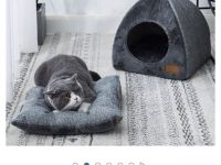 Liebevoller EKH/BKH kater abzugeben