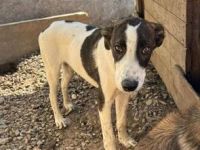 Theo sucht seine Familie