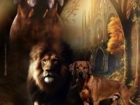 *Kito King von Lubaya*