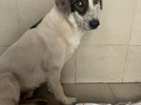 Bear - begleitest DU ihn auf dem Weg zu mehr Mut?💞