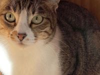 Daga - anfangs ängstlich, aber sehr liebenswert und sozial