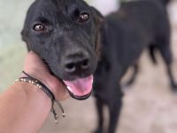 Gigi, wer zeigt ihr die Welt?