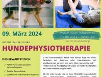 Hundephysiotherapie Fachausbildung mit hohem Praxisanteil