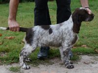 We have a liver white girl  FIRST LADY "Lucy"