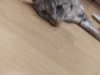 2 Zuckersüße Mädels