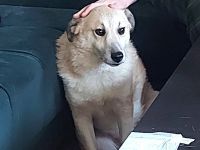 Zeigst du Thanos wie toll das Leben mit Menschen sein kann?