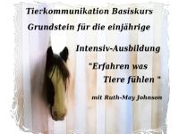 Tierkommunikation Kurs 21/22 Okt. Rastede/Niedersachsen