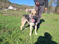 Hallo ich bin KOVO - zeigst du mir die Welt?