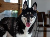 Bonita - verzaubert sie auch dich?