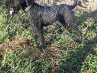 4440 Tiszavasvári Magyarország