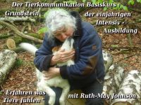 Tierkommunikation Kurs 13-14 Juli 2024 Rastede/Niedersachsen